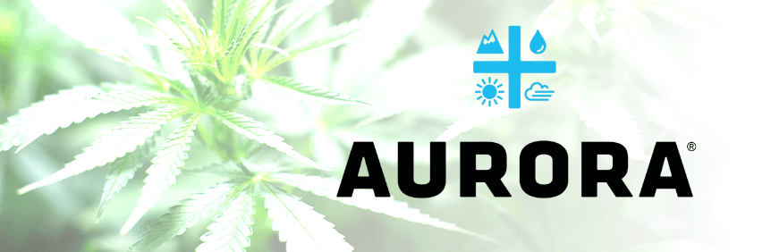 Die besten Cannabis Aktien: Entwicklung der Aurora Cannabis Aktie von Februar 2019 bis Februar 2022 | Online Broker LYNX