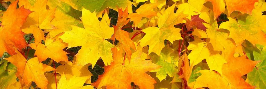 Sell in May and Go Away, But remember to come back in September | Online Broker LYNX Sell in May and Go Away, But remember to come back in September | Online Broker LYNX
