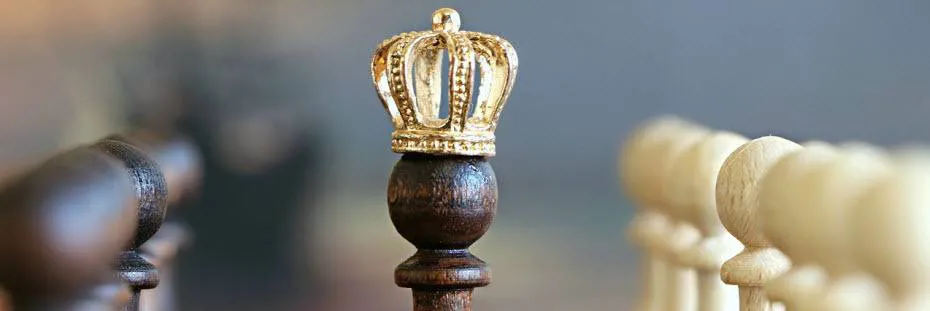 Cash is king | Online Broker LYNX Cash is king | Online Broker LYNX